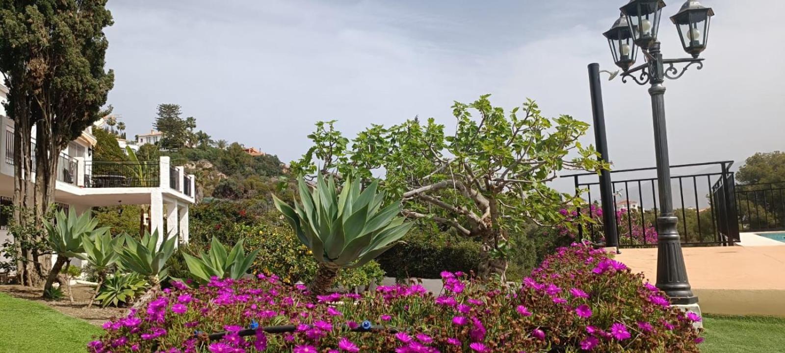 Villa La Torrecica, Con Caracter Andaluz Y Magnificas Vistas Al Mar Y Sierra Nevada à Salobreña Extérieur photo